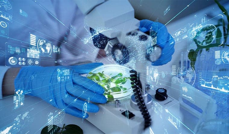 Advising on the Successful Sale of a German Plant-Based Food Brand to a Major FMCG Group